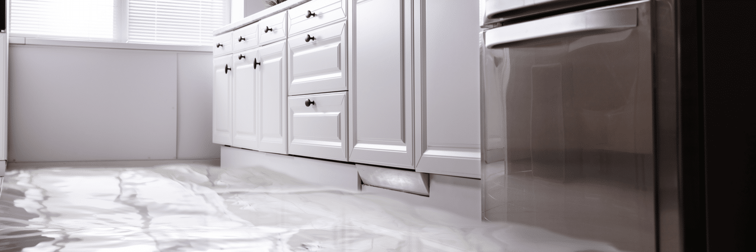 Force Placed Flood Insurance California