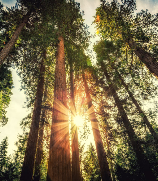 QuieTrack Insurance Tracking